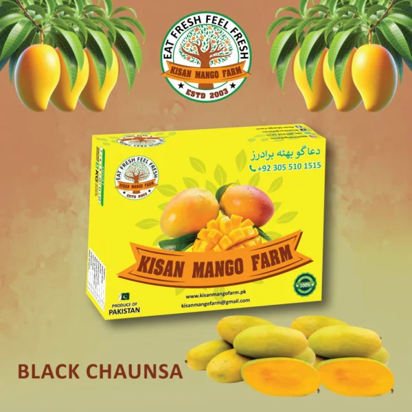Black Chaunsa