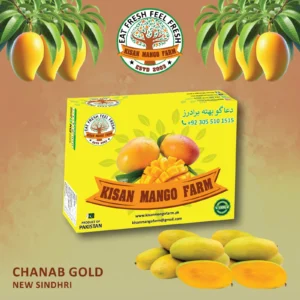 Chanab Gold New Sindhri