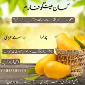 Kisan Mango Farm